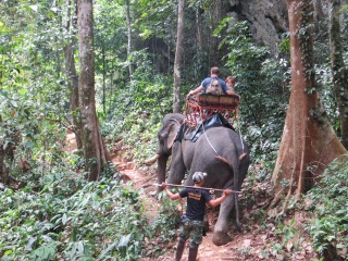 14 Jan 15 - Elephant Trekking (6)